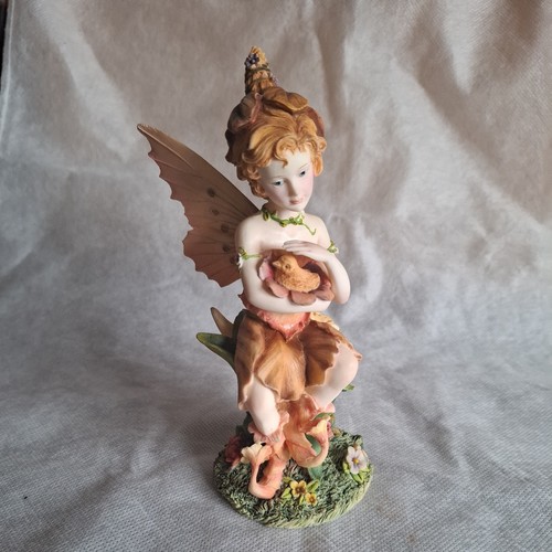 The leonardo collection - collection, fairy