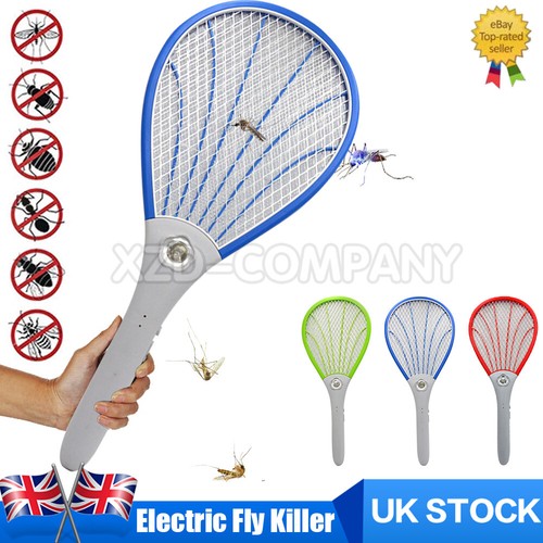 Electric fly insect - fly, bug