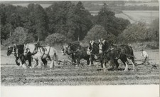 Horse Ploughing Match Alton Hampshire Wyck Farm Draught Horses 1971 Press Photo