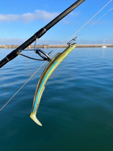 Sidewinder lures skerries - sidewinder, eel