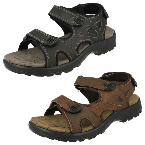 Mens northwest territory - mens,