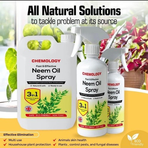 Natural organic neem - neem, oil
