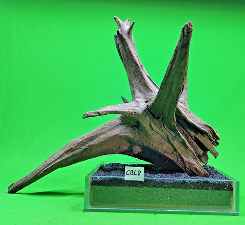 Large corbo root cbl8 aquarium - large,