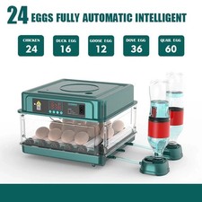 Incubators for Hatching Eggs