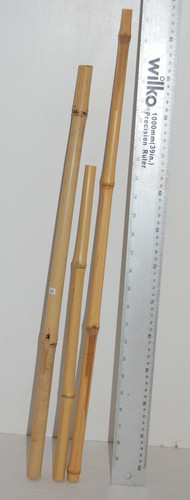 Bamboo poles reptiles craft - poles,,