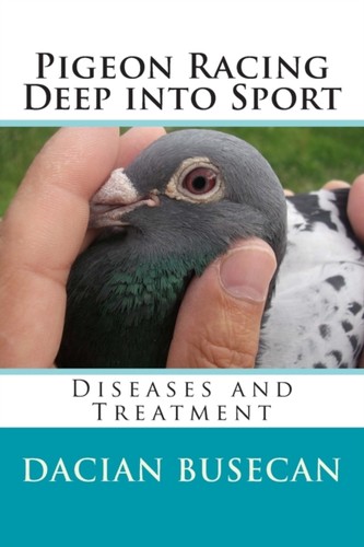 Busecan pigeon racing deep - busecan,