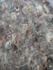 RAW UNWASHED HERDWICK SHEEP