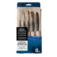 Winsor & Newton Professional