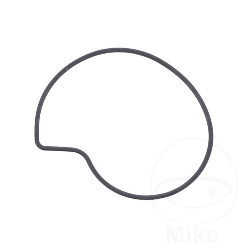Athena water pump cover gasket - water,