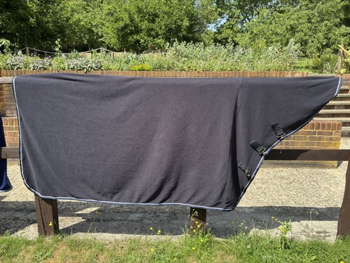 Kingsland equestrian horse - kingsland,