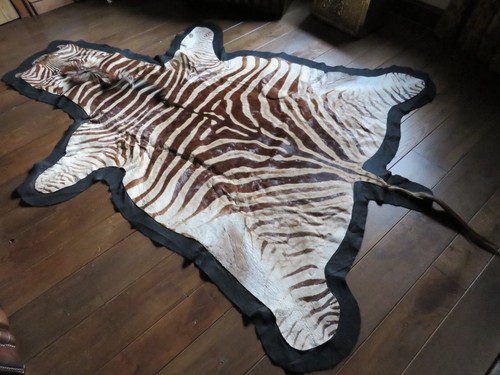 Real zebra skin hide - zebra,