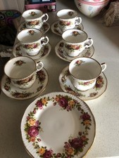 Elizabethan Staffordshire Bone