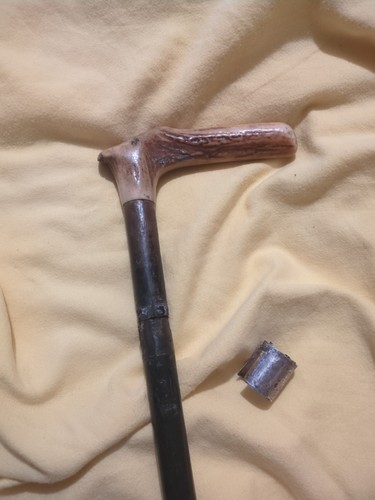 1927 deer stag antler cane - stag,