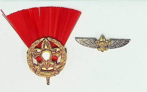 Boy scouts asia tiwanese - boy,