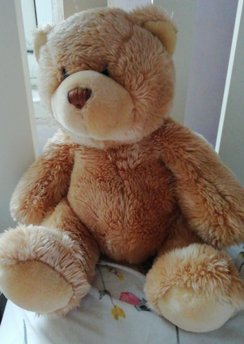 Teddy bear keel toys - teddy,