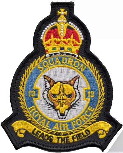 Squadron royal air force - royal,