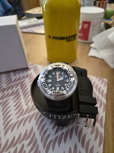 Citizen ecozilla professional