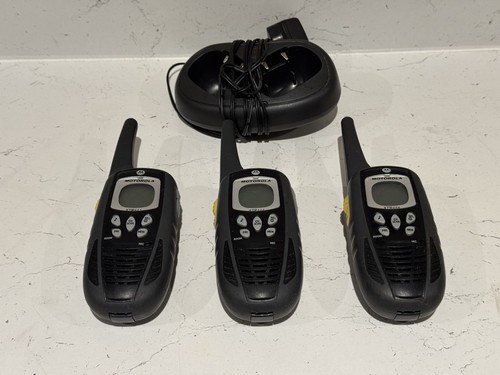Motorola xtr446 walkie talkies - motorola,
