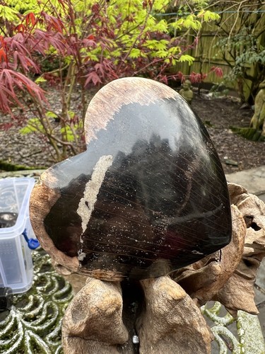 Petrified fossilised wood - petrified,