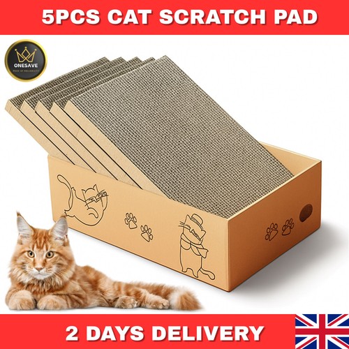 5pc cat scratching - 5pc,