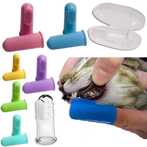 Cat toothbrush finger - toothbrush,