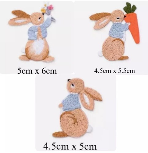 Peter rabbit flower carrot - rabbit,