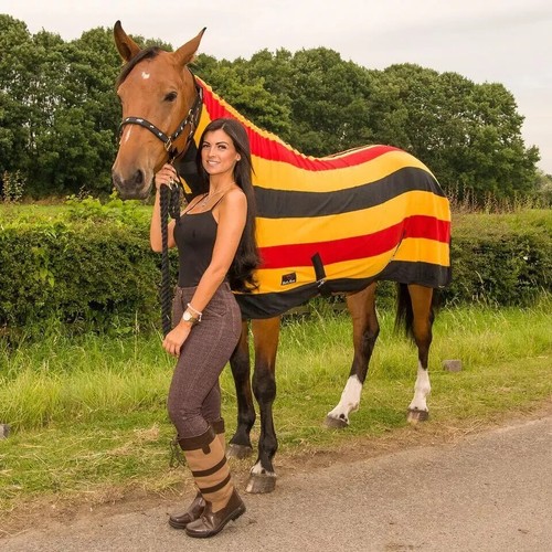 Horse newmarket cooler rug - cooler,