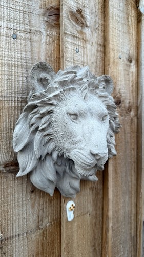 Ear damaged concrete lions - damaged,