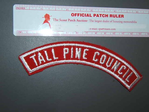 Boy scout tall pine - scout,