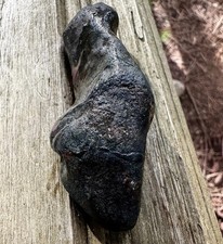 Full Fish Fossil - Blakeley