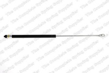 Boot/cargo Area Gas Spring