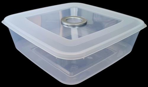 Invertebrate large square - large,