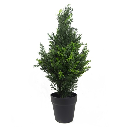 Cypress outdoor cedar topiary - cedar,