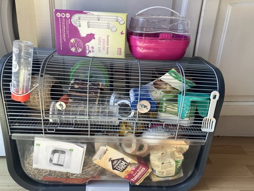 Gerbil cage with accessories - gerbil,
