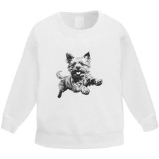 'Yorkshire Terrier Running '