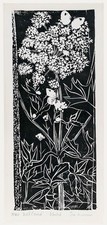 Jim Munnion - Contemporary Woodblock Print, Wild Carrot.