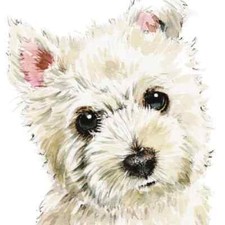 Hamish West Highland White Terrier Puppy Pup Westie - Blank Card - Louise Nisbet