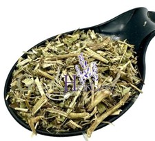 Passiflora Passion Flower