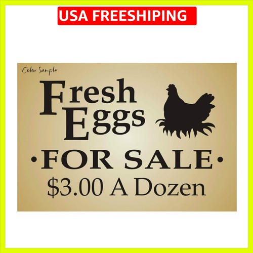 Nobrand fresh egg sale hen - egg,