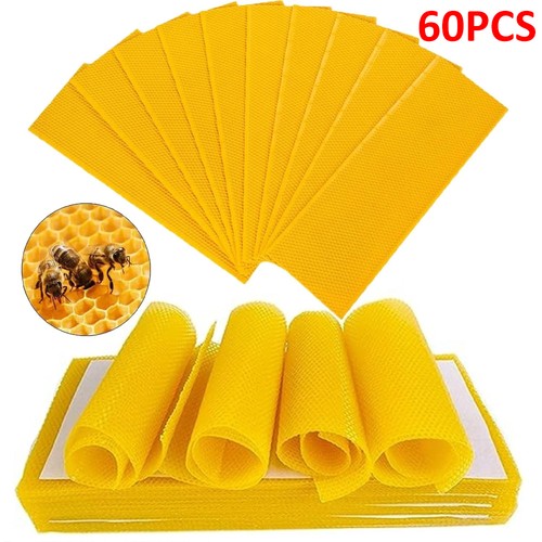 60pcs beekeeping nest - beekeeping,
