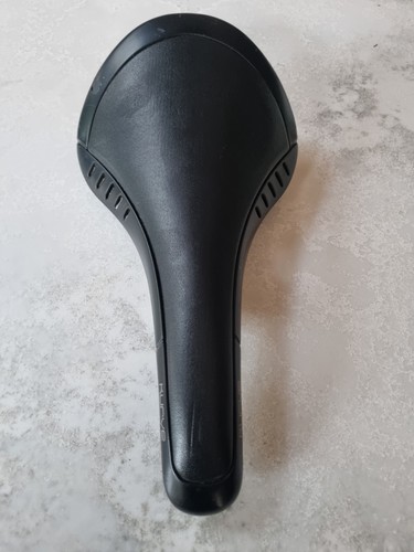 Fizik kurve spine - kurve, concept