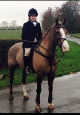 Ladies Hunting Jacket Size 34 Black