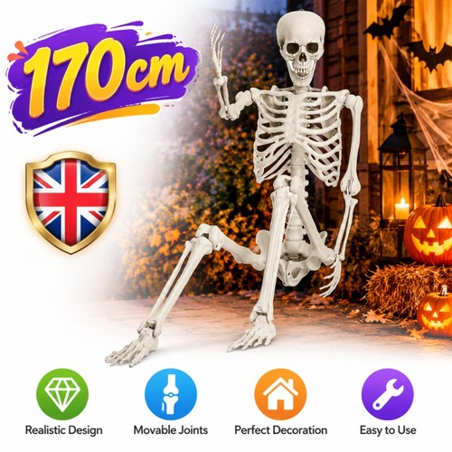 Giant life size - human, skeleton