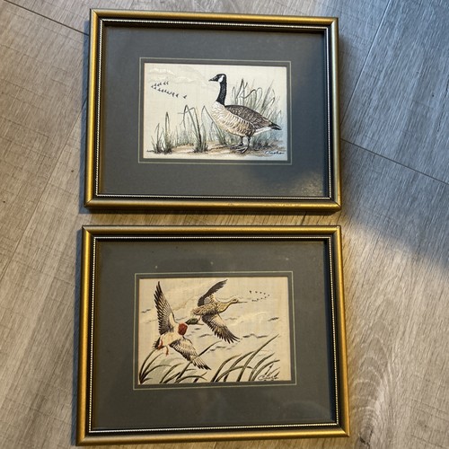 Canada goose mallard pair - &,