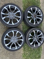 Wolf race Assassins 18inch