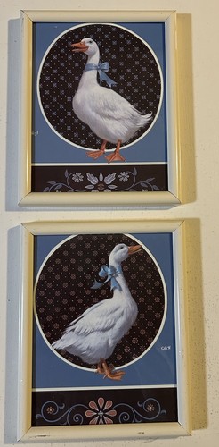 The duke white goose - white,