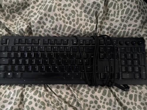 Razer ornata - ornata, v3