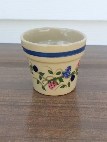Alpine pottery strawberry - alpine,