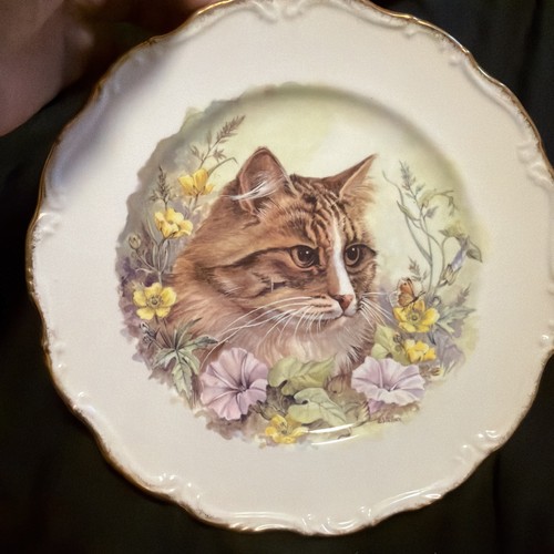 Royal vale bone china cat - vale,