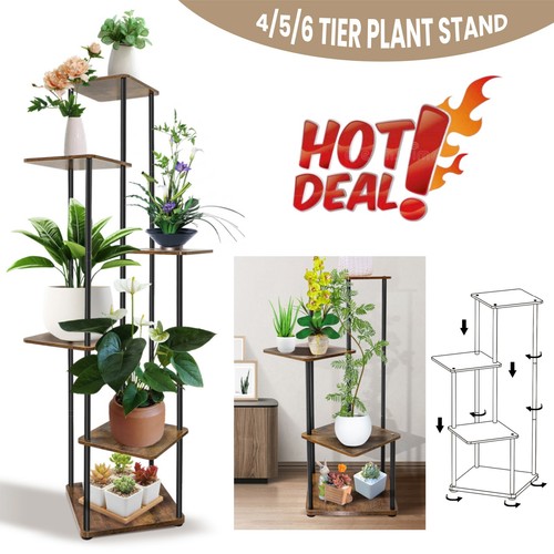 Tier indoor plant - 4/5/6,
